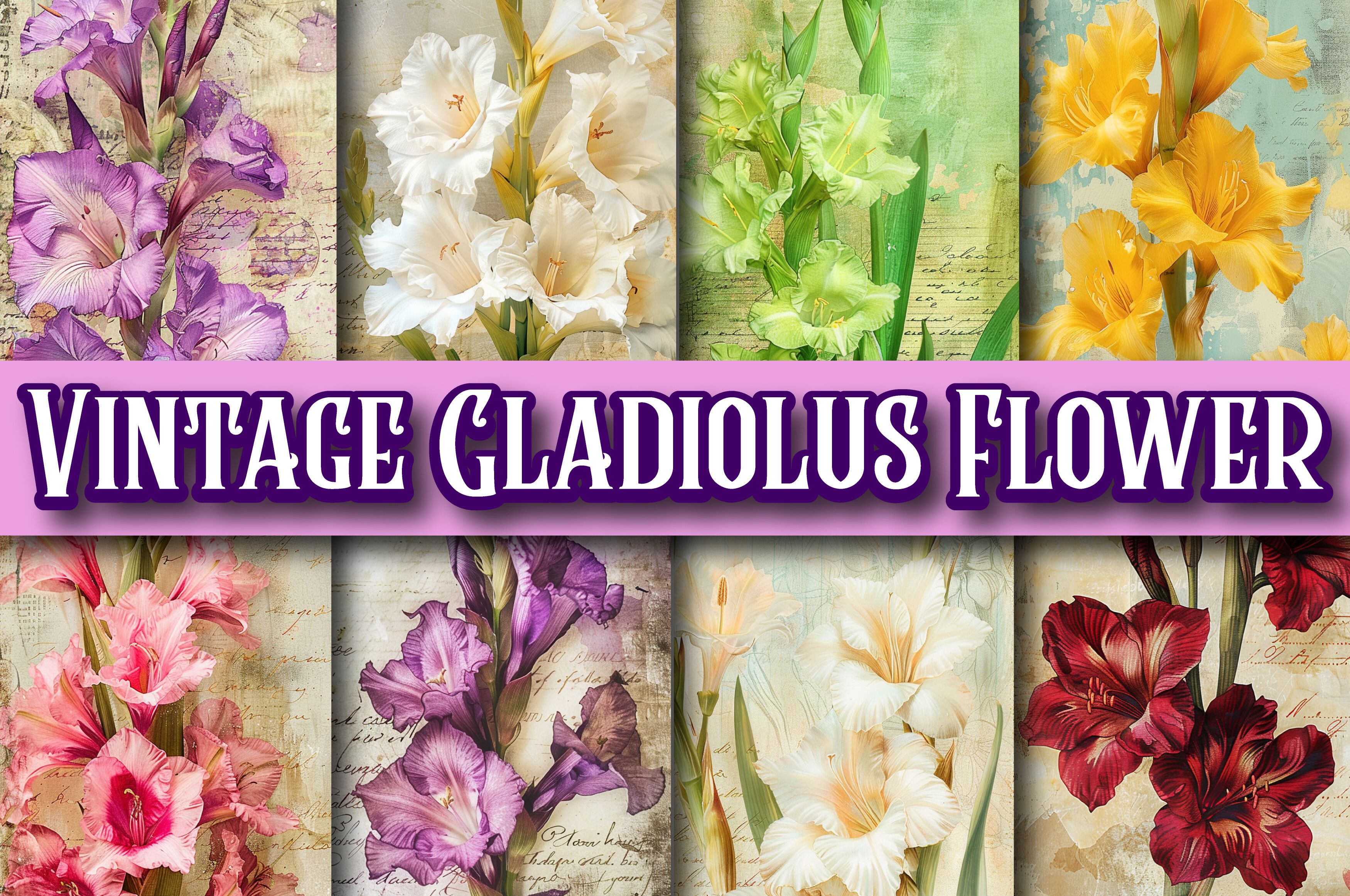 Vintage Gladiolus Flower Digital Paper