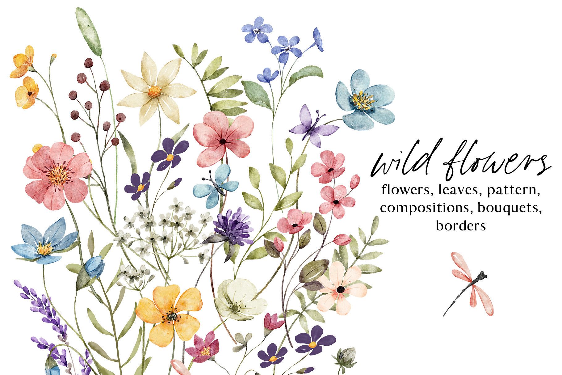 Wild Flowers, Butterflies and Dragonfly.